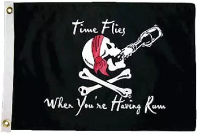FLAG TIMES FLIES 12X18